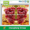 Fruit de raisin Ruby en provenance de Chine
